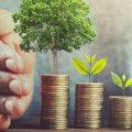 A Beginner's Guide to Choosing the Best Gold IRA Custodian for Your Retirement Savings
